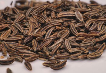 Tipos de anís: Conociendo la riqueza aromática de nuestra tierra